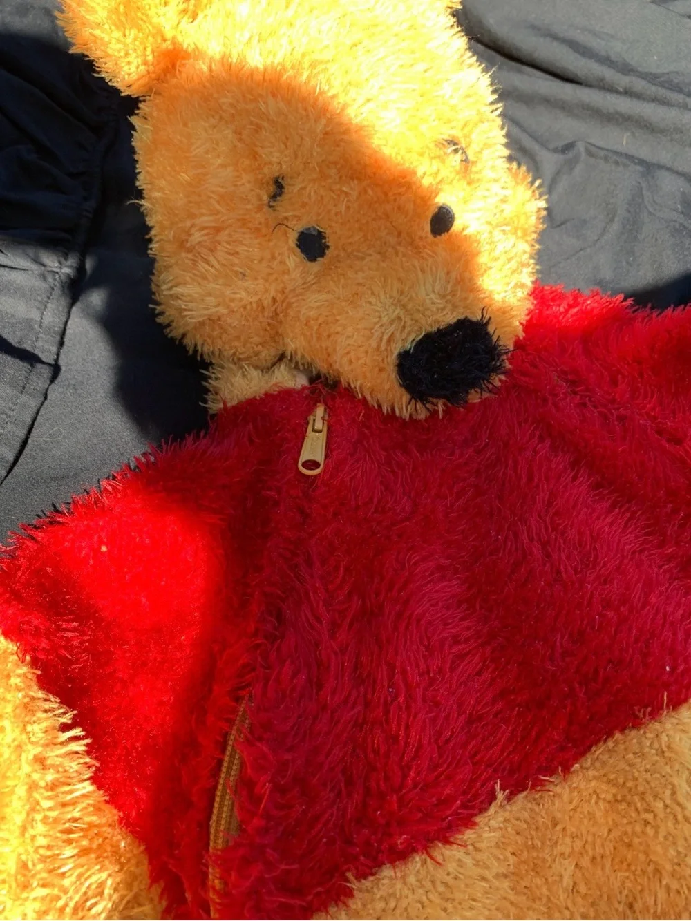 Disney Store Winnie the Pooh Fuzzy Plush Costume Bunting 12 Months